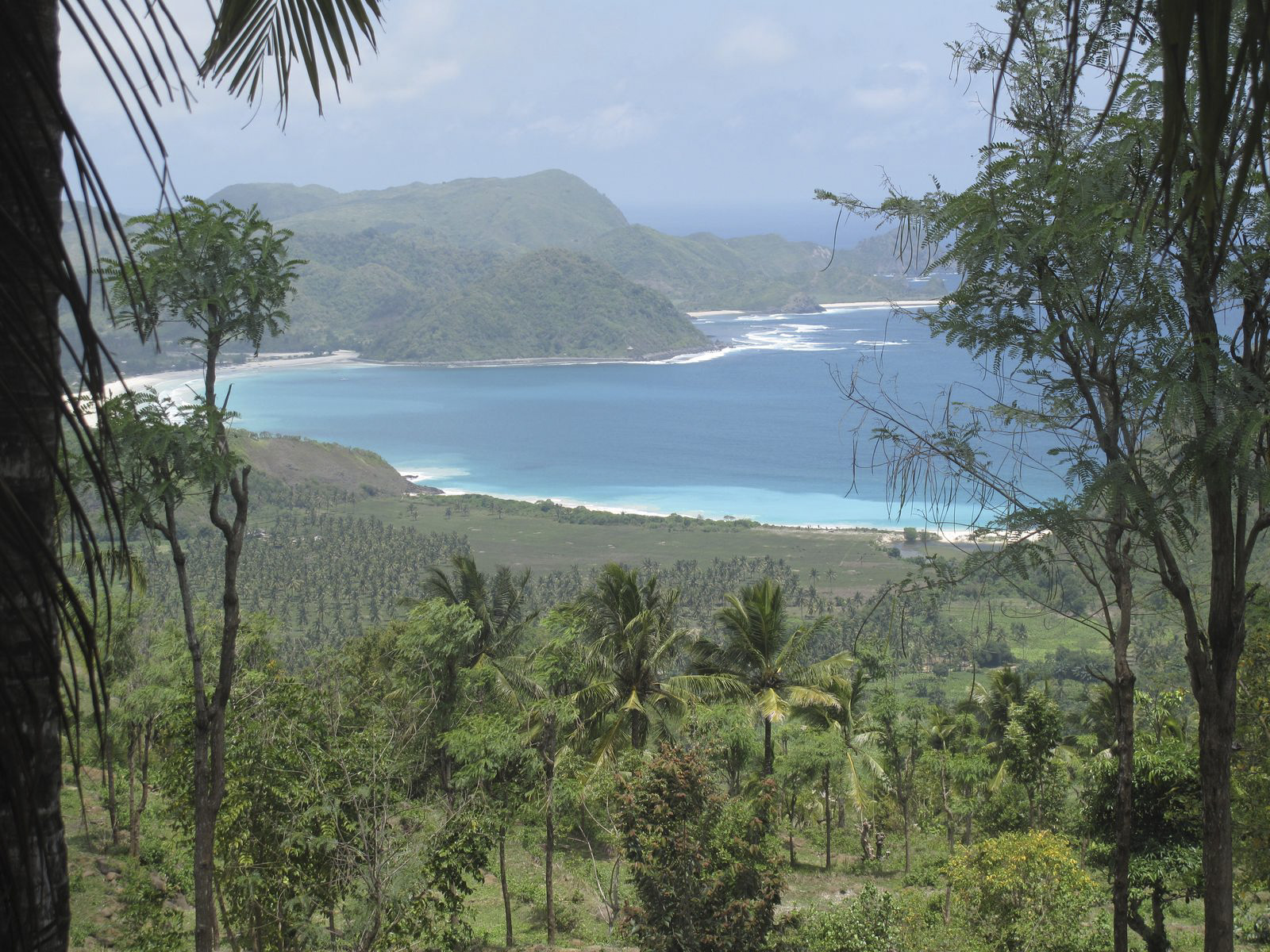 Adangan